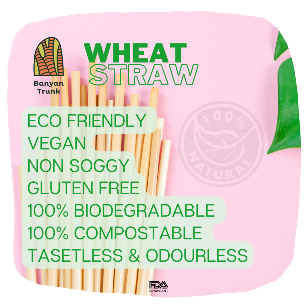 100 Natural Wheat Straws Pack of 3 mintorie