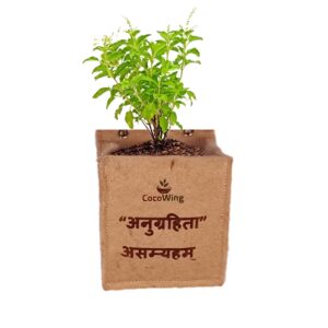 CocoWing Jute Planter “I Am Blessed (Anugrita Asmahyam)” Positive Affirmation Décor