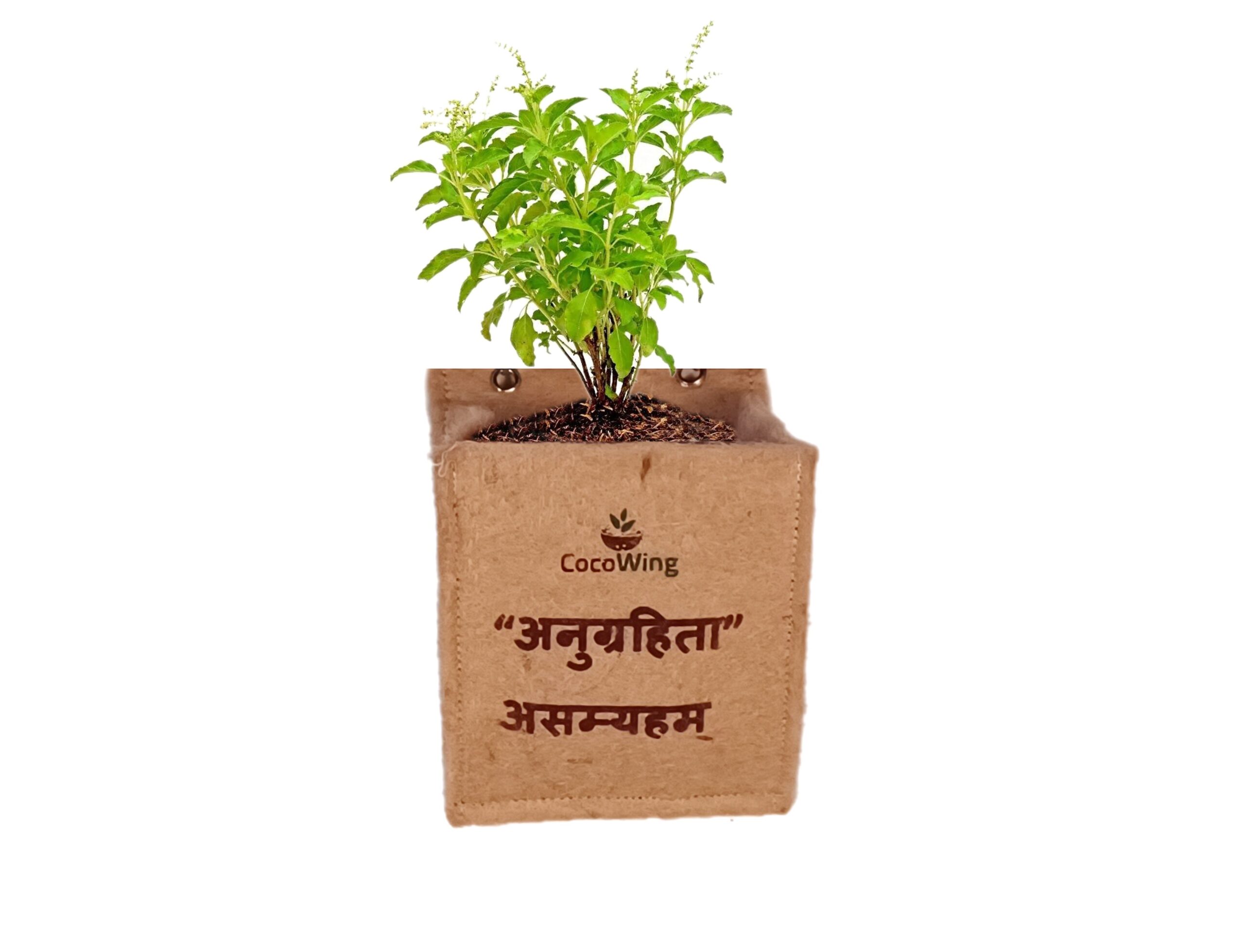 CocoWing Jute Planter “I Am Blessed (Anugrita Asmahyam)” Positive Affirmation Décor