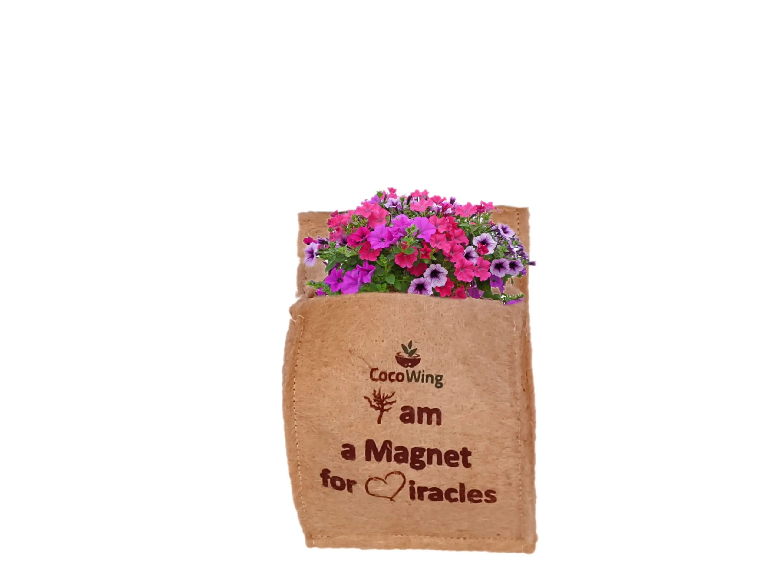 CocoWing Positive Affirmation Grow Bag – “I Am a Magnet for Miracles”