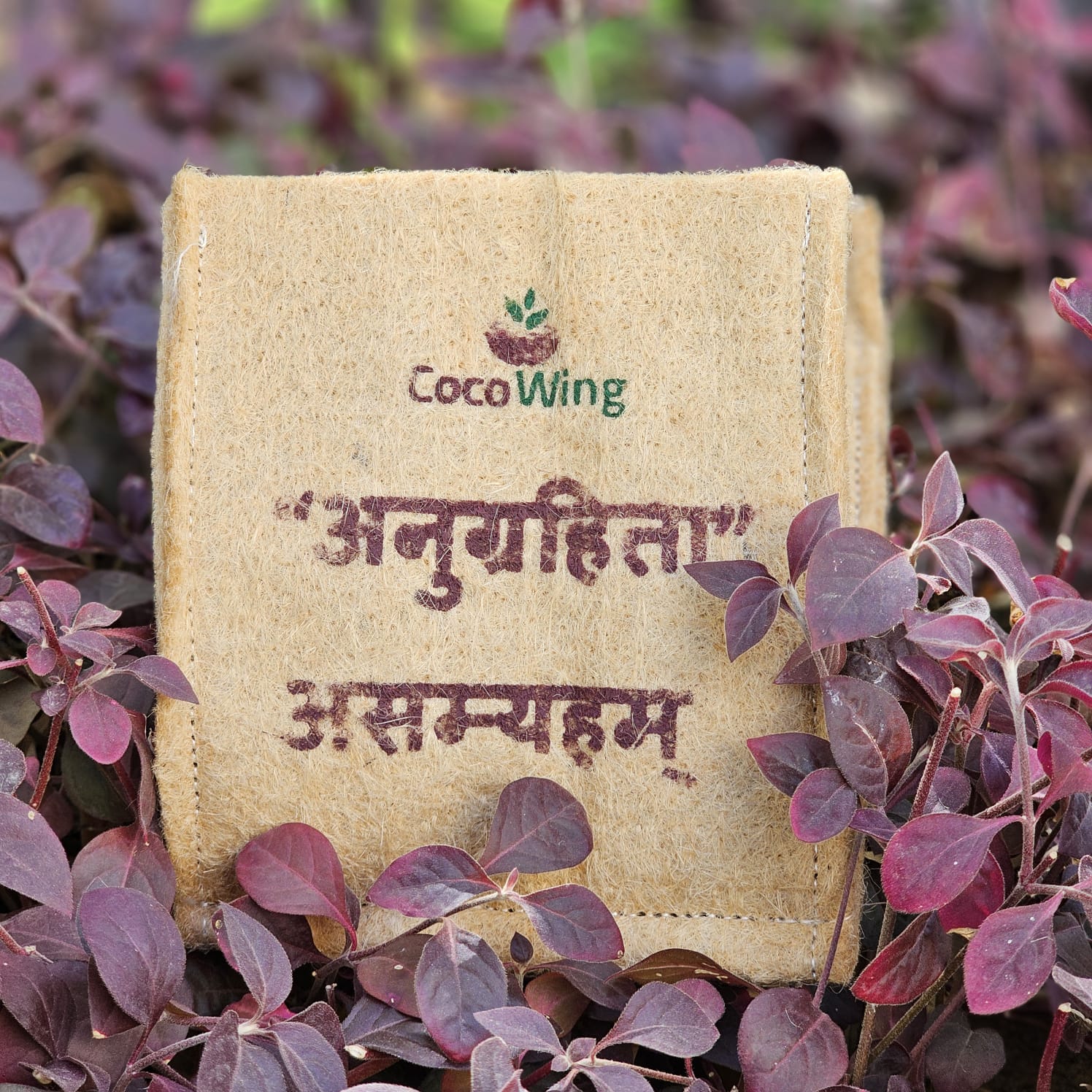CocoWing Jute Planter “I Am Blessed (Anugrita Asmahyam)” Positive Affirmation Décor - Image 2