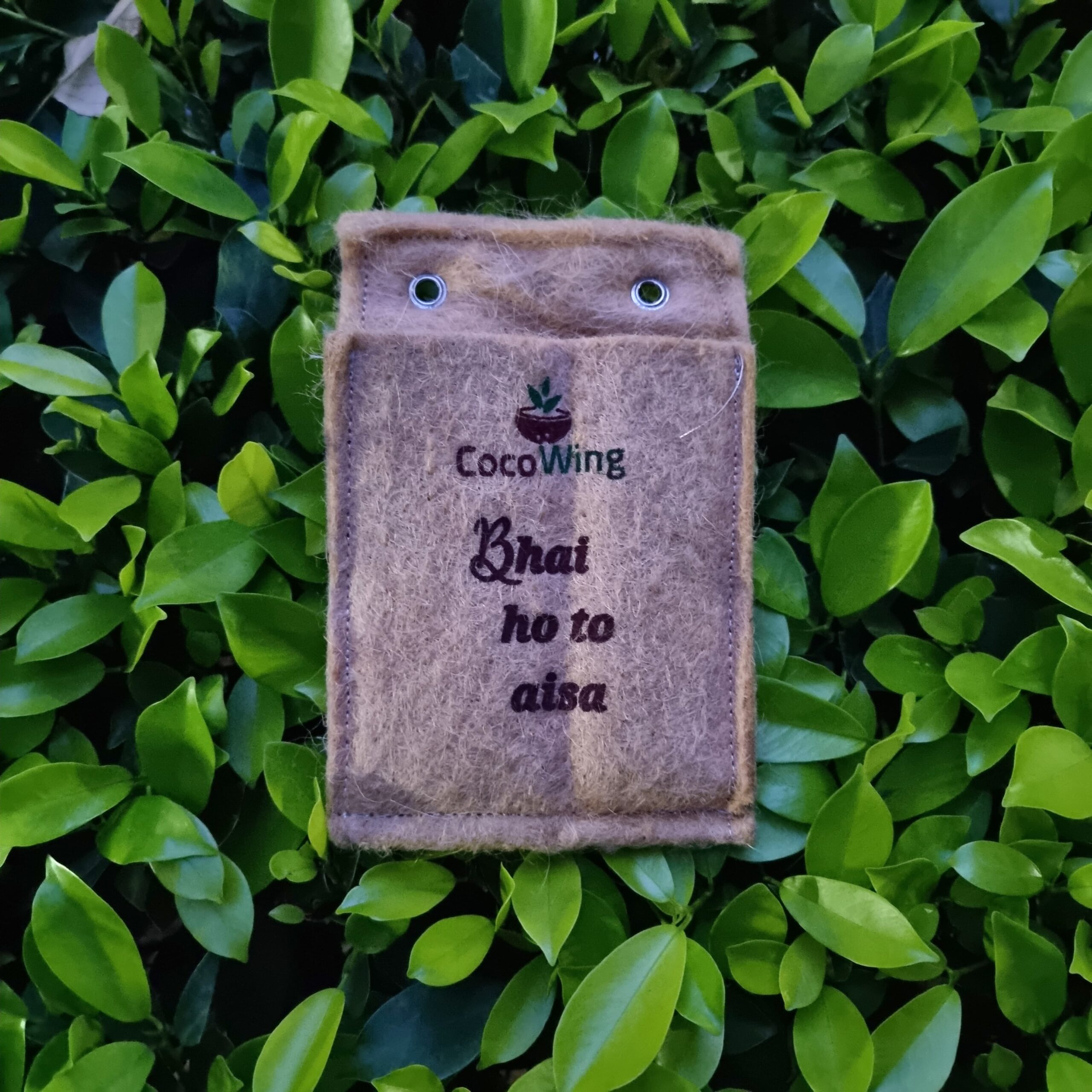 CocoWing Eco-Friendly Gift for Brother “Bhai Ho To Aisa” Printed Planter - Image 2