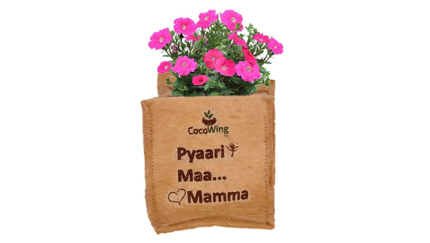 CocoWing Wall Hanging Indoor Plant Grow Bag “Pyaari Maa… Mamma” Printed Eco-Friendly Planter for Home Decor, Balcony & Gifts for Mother